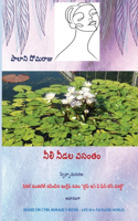 Neeli Needala Vasantham