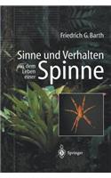 Sinne Und Verhalten: Aus Dem Leben Einer Spinne