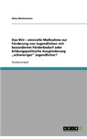 Das BVJ - sinnvolle Maßnahme zur Förderung von Jugendlichen mit besonderem Förderbedarf oder bildungspolitische Ausgliederung "schwieriger" Jugendlicher?: (German)