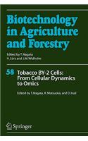 Tobacco By-2 Cells: From Cellular Dynamics to Omics