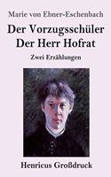 Vorzugsschüler / Der Herr Hofrat (Großdruck): Zwei Erzählungen