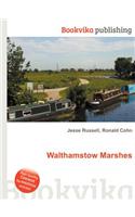 Walthamstow Marshes