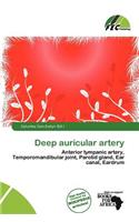 Deep Auricular Artery: (English)