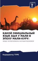 КАКОЙ ОФИЦИАЛЬНЫЙ ЯЗЫК БЫЛ У МАЛИ В ЭПОХУ М&#1