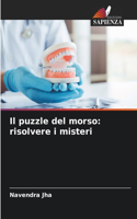 puzzle del morso: risolvere i misteri