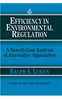 Efficiency in Environmental Regulation