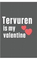 Tervuren is my valentine: For Tervuren Dog Fans