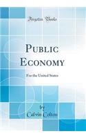 Public Economy: For the United States (Classic Reprint)