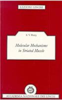 Molecular Mechanisms in Striated Muscle: (Lezioni Lincee)