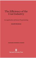 The Efficiency of the Coal Industry