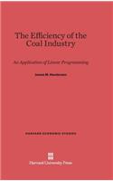 Efficiency of the Coal Industry