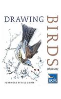 Drawing Birds