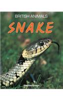 Snake. Stephen Savage