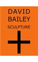 David Bailey: Sculpture +