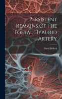 Persistent Remains Of The Foetal Hyaloid Artery