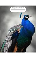 Composition Notebook Peacock Design Vol 10