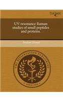 UV-Resonance Raman Studies of Small Peptides and Proteins