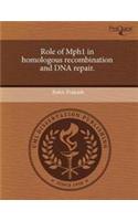 Role of Mph1 in Homologous Recombination and DNA Repair