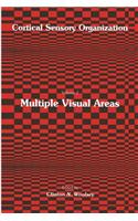 Multiple Visual Areas: Volume 2: Multiple Visual Areas