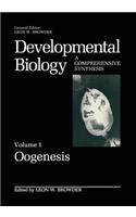 Oogenesis