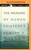 The Meaning of Human Existence