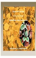 Soul of Idrisa - Volume One