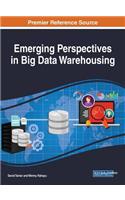 Emerging Perspectives in Big Data Warehousing