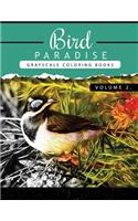 Bird Paradise Volume 2: Bird Grayscale coloring books for adults Relaxation Art Therapy for Busy People (Adult Coloring Books Series, grayscale fantasy coloring books)(Bird Paradise Coloring Book)