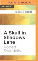 Skull in Shadows Lane