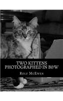 Two Kittens Photographed in B&W