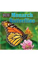 Monarch Butterflies