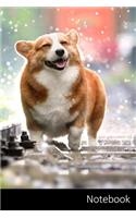 Notebook: Animales Domésticos, Perro, Corgi, Lindo Cuaderno / Diario / Libro de escritura / Notas - 6 x 9 pulgadas (15.24 x 22.86 cm), 150 páginas, superficie