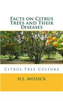 Facts on Citrus Trees and Their Diseases