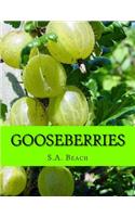 Gooseberries