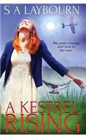A Kestrel Rising