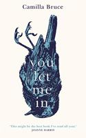 You Let Me In: The acclaimed, unsettling novel of haunted love, revenge and the nature of truth