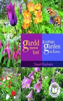 Gardd Mewn Tref/A Cottage Garden in Town