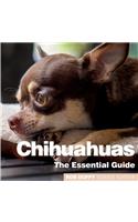 Chichuahuas