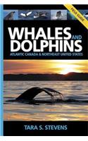 Whales & Dolphins of Atlantic Canada & Northeast United States
