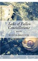 Lake of Fallen Constellations