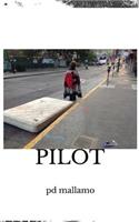 Pilot