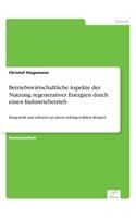 Betriebswirtschaftliche Aspekte der Nutzung regenerativer Energien durch einen Industriebetrieb: Dargestellt und erläutert an einem selbstgewählten Beispiel