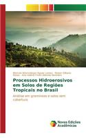 Processos Hidroerosivos em Solos de Regiões Tropicais no Brasil