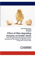 Effect of fiber degrading Enzymes on broiler chicks