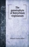 gametophyte of Botrychium virginianum