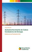 Autoamortecimento de Cabos Condutores de Energia