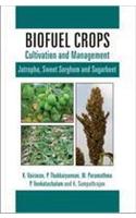 Biofulel Crops : Cultivation And Management (Jatropha, Sweet Sorghum And Sugarbeet)
