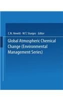 Global Atmospheric Chemical Change