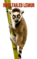 Ring Tailed Lemur: Fun Facts & Cool Pictures