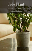 Jade Plant